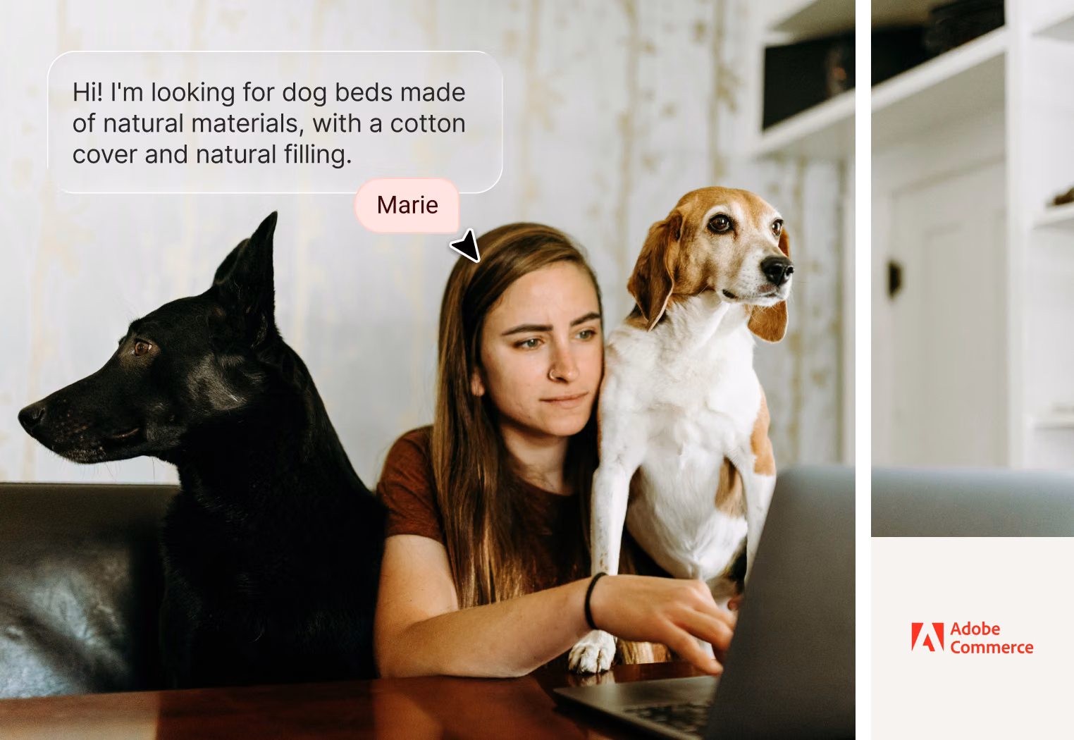 AI Agent recommending dog beds from a live Adobe Commerce catalog, with product cards and pricing
