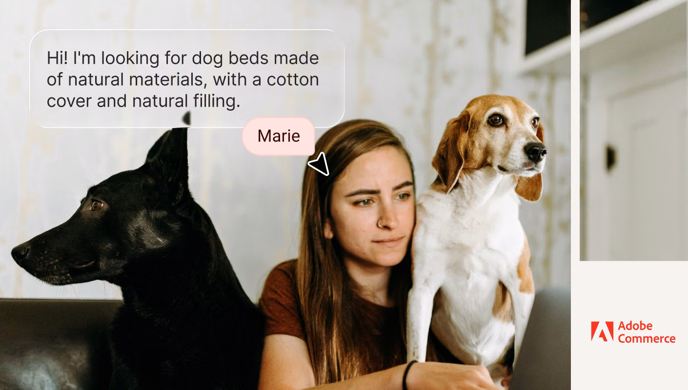 AI Agent recommending dog beds from a live Adobe Commerce catalog, with product cards and pricing