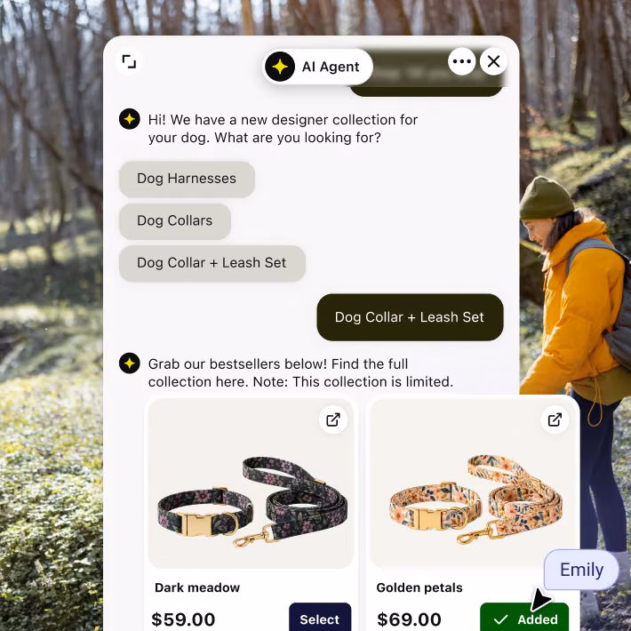 AI Agent asking a shopper what they're looking for and recommending matching dog collar and leash sets