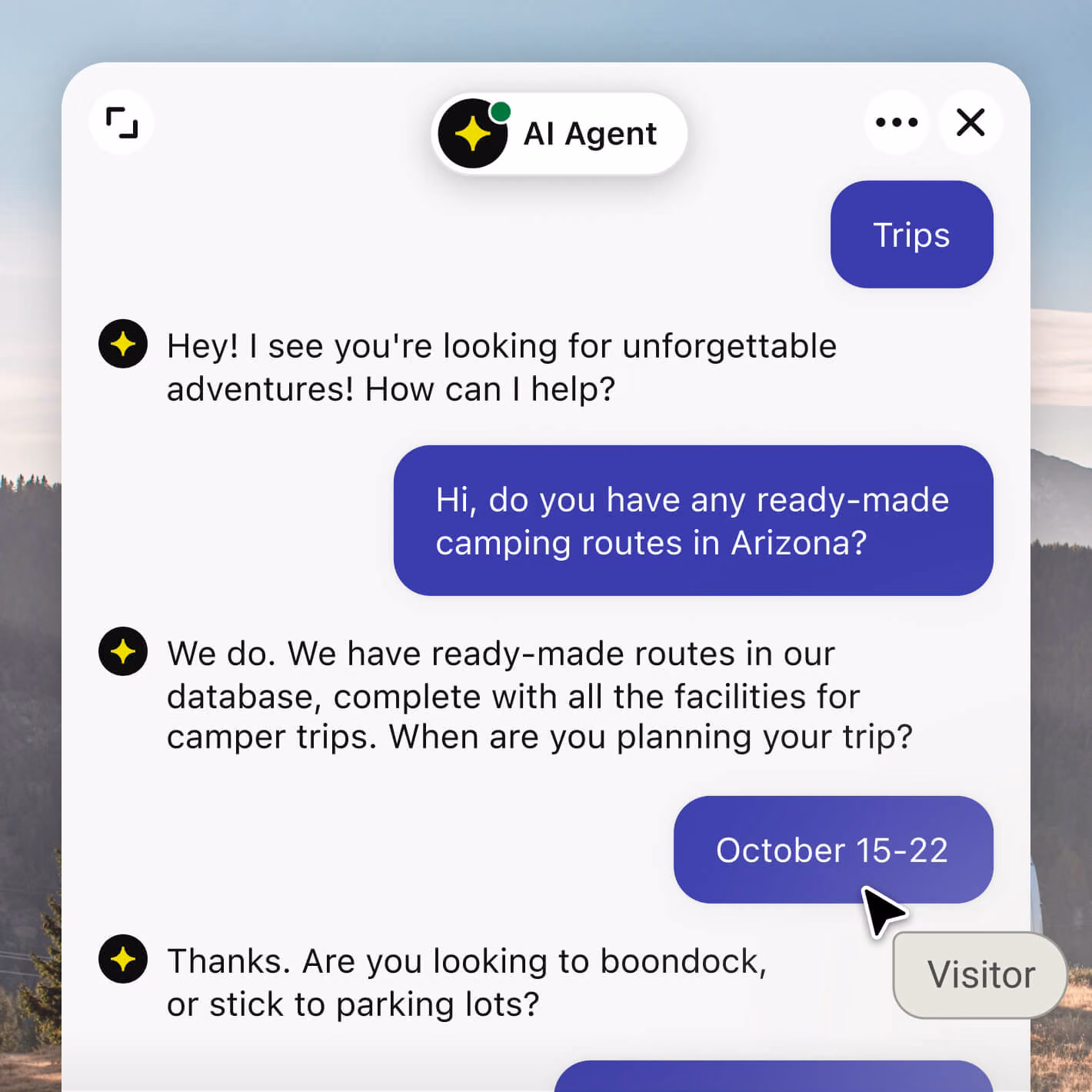 Webflow chatbot discussing a visitor's home renovation project
