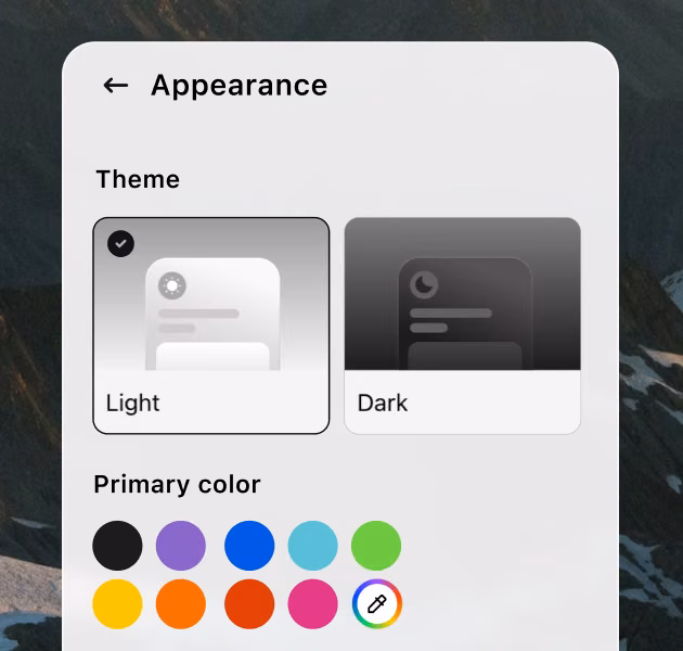 Chat widget appearance settings for choosing a light or dark theme and a custom primary color