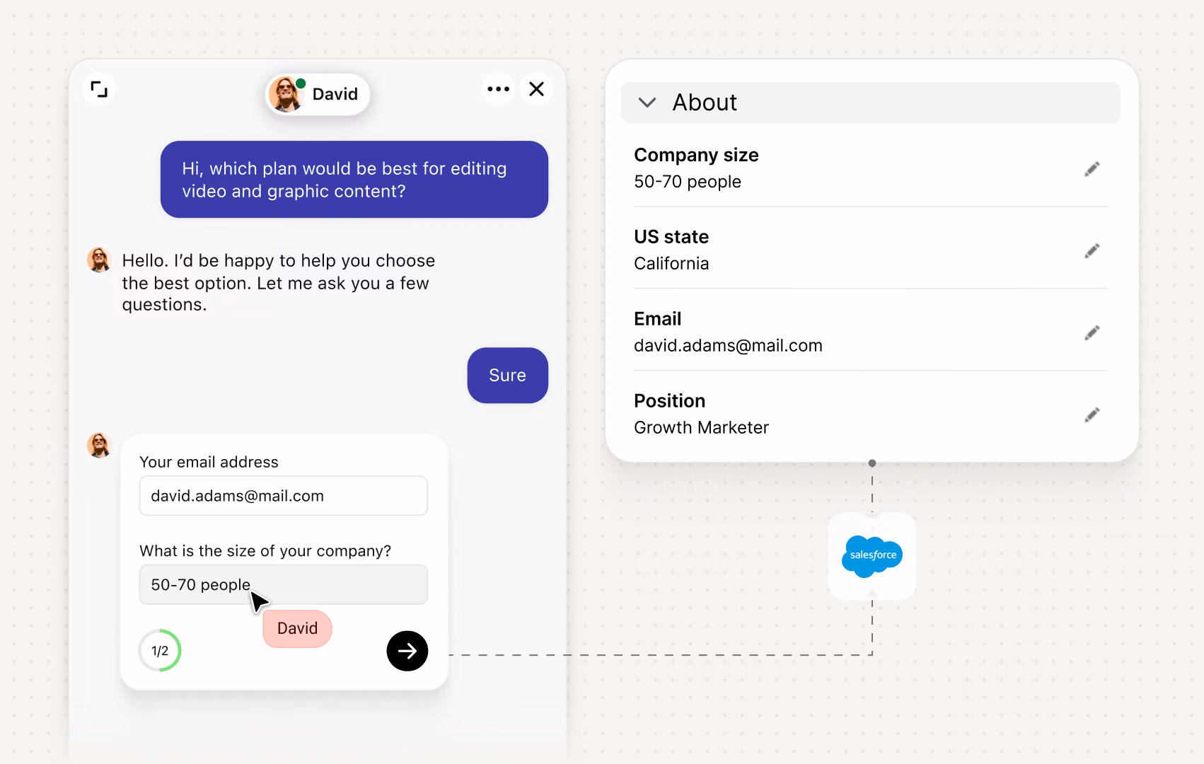 Chat form collecting a visitor's email and company size, with the answers saved as custom fields (company size, US state, email, position) in an About record linked to Salesforce