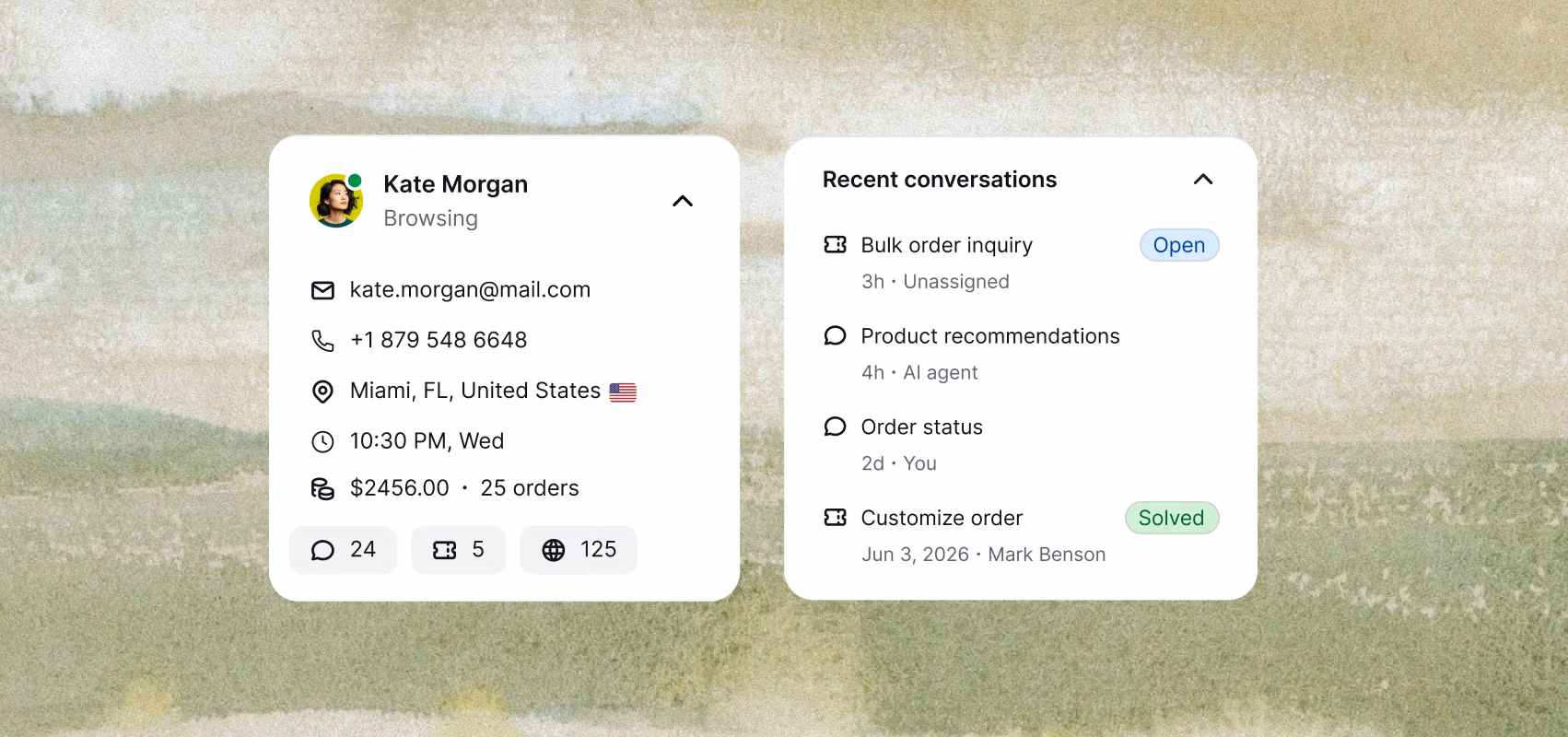 Unified customer profile for Kate Morgan showing contact details, order history, browsing activity, and recent conversations across chat, tickets, and visits.