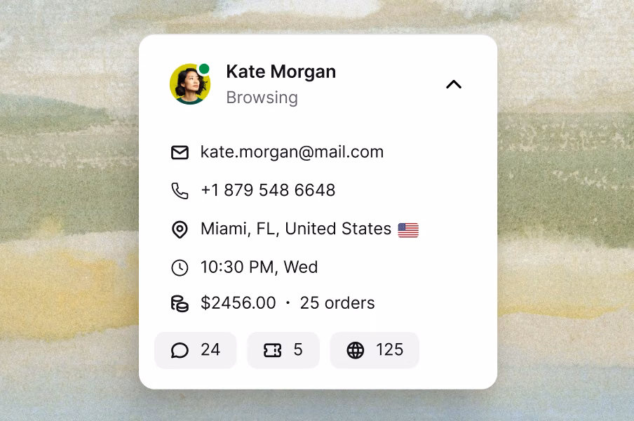 Unified customer profile for Kate Morgan showing contact details, order history, browsing activity, and recent conversations across chat, tickets, and visits.
