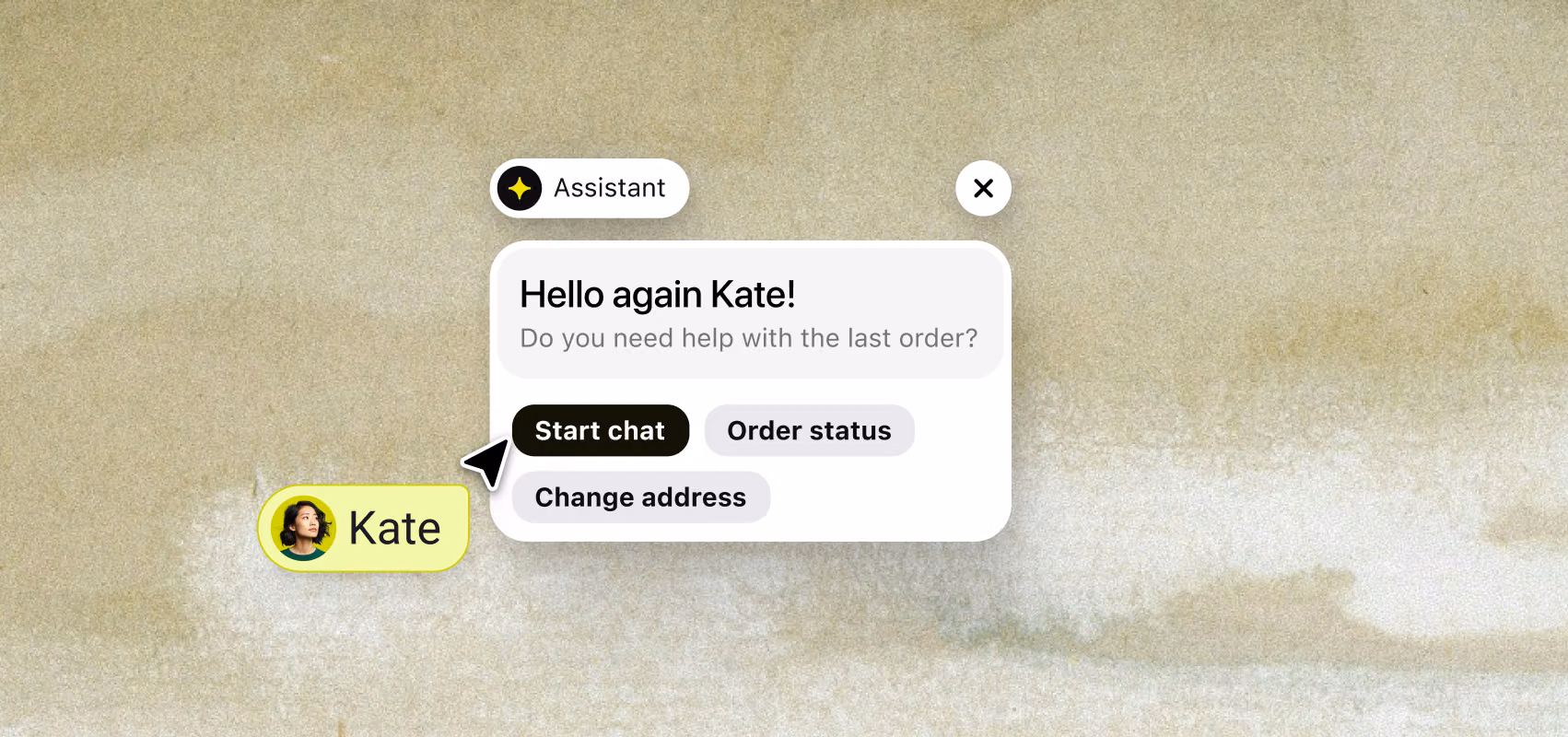 AI Assistant recognizing returning visitor Kate and offering quick chat options for order status or address changes before the conversation starts.
