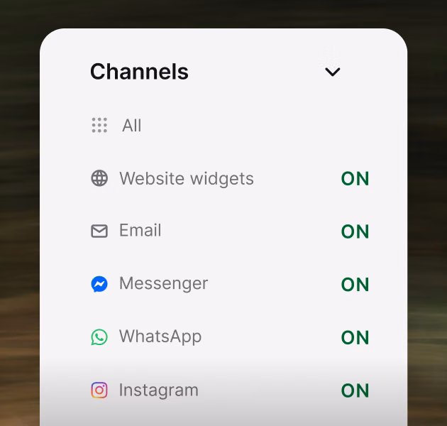 Channel settings showing website widgets, email, Messenger, WhatsApp, and Instagram all feeding one shared queue
