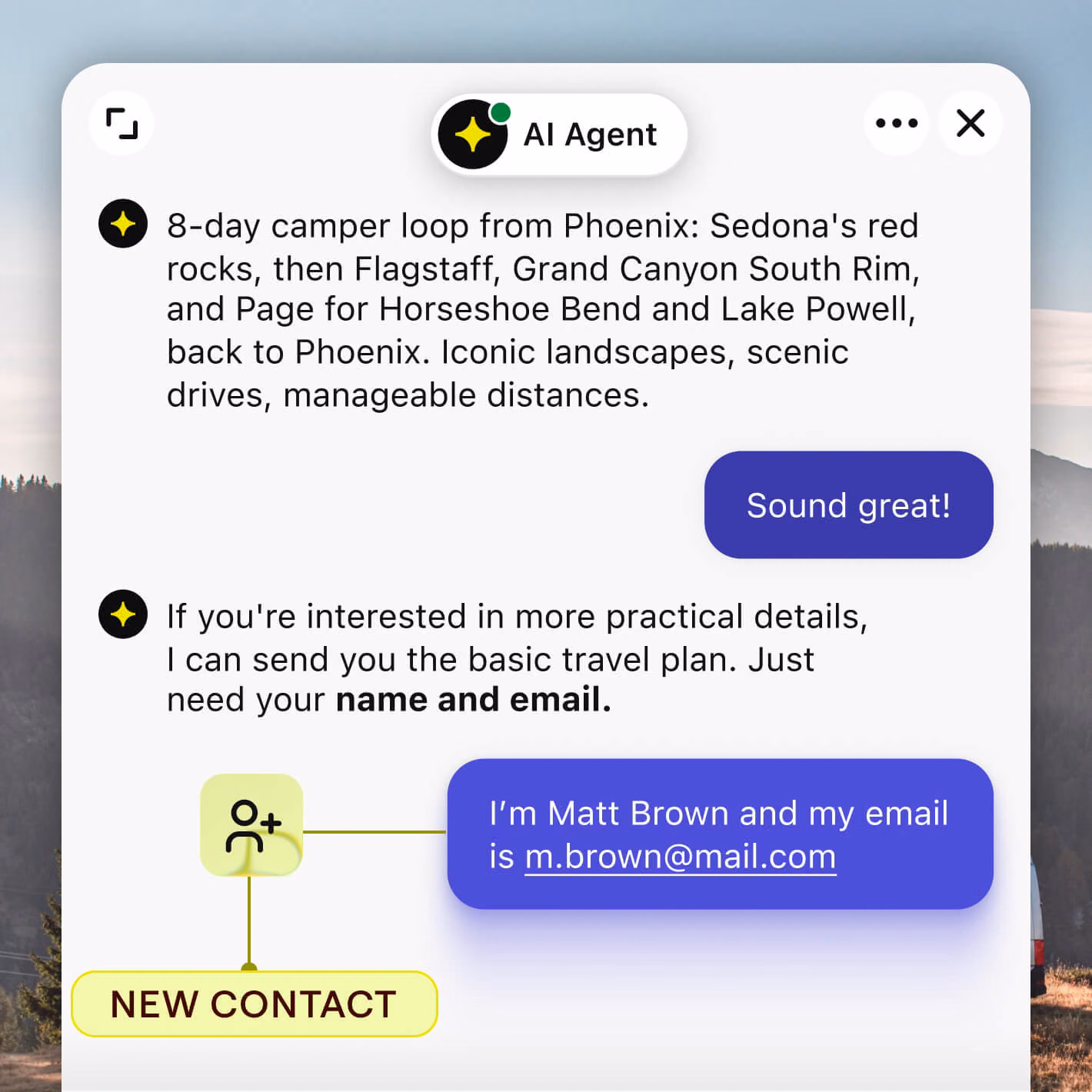 Webflow AI chatbot qualifying a lead by budget, timeline, and contact details