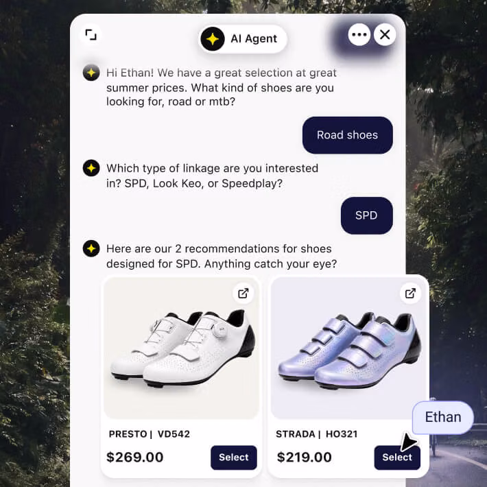 AI chatbot for Shopify recommending cycling shoes from the store catalog