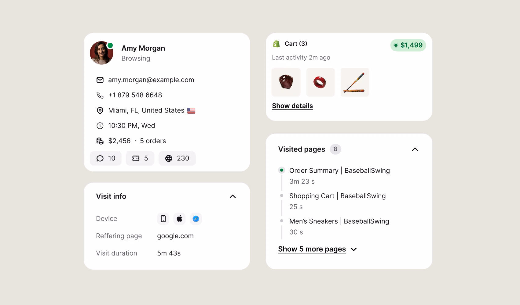 Text customer profile showing browsing history, recent orders, cart details, and visit information for personalized omnichannel support replies