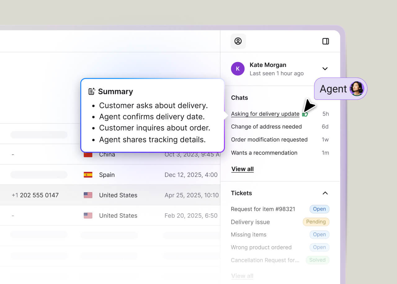 Text AI agent showing summary of the conversation with the customer.
